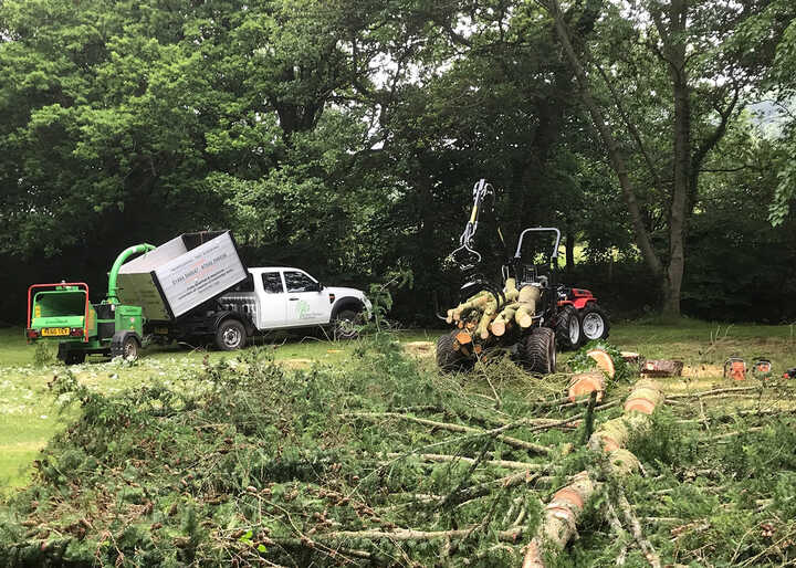 Woodland management and tree felling, site clearance