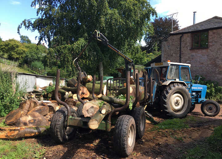 Logs for sale being transported for site clearance