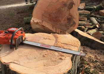 Logs and wood chip for sale, chainsaw on felled tree