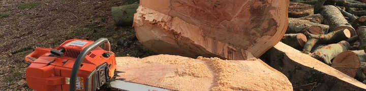 Chainsaw on felled tree, with cut logs for sale behind