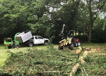 Woodland management and tree felling, site clearance